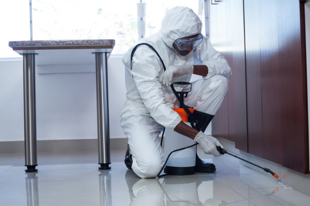 Best Pest Control Services Hyderabad in 2023