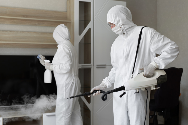 Best Pest Control Services Near Me in 2023